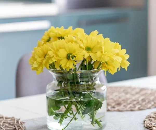 Sun House + Free Parking *