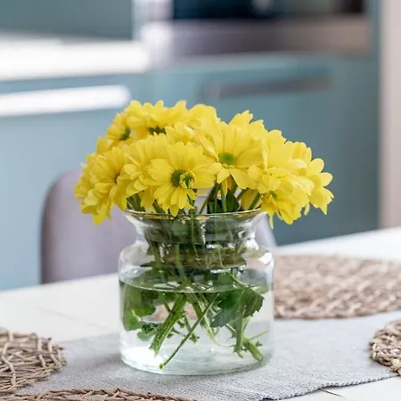 Sun House + Free Parking *